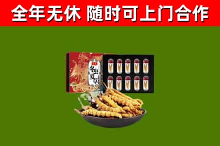 孟津回收冬虫夏草价格