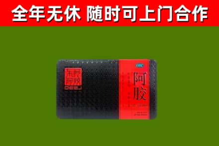 孟津回收阿胶
